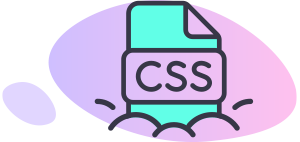 Custom CSS Option